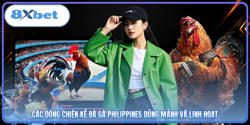 Các dòng chiến kê đá gà Philippines dũng mãnh và linh hoạt