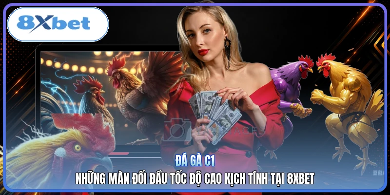 Đá Gà C1 | Những Màn Đối Đầu Tốc Độ Cao Kịch Tính Tại 8XBET