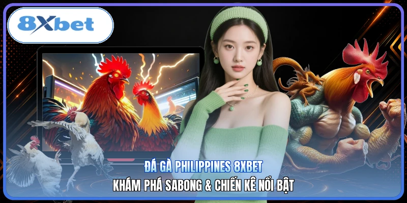 Đá Gà Philippines 8XBET | Khám Phá Sabong & Chiến Kê Nổi Bật