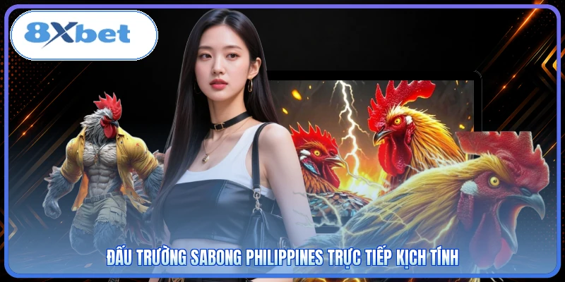 Đấu trường Sabong Philippines trực tiếp kịch tính