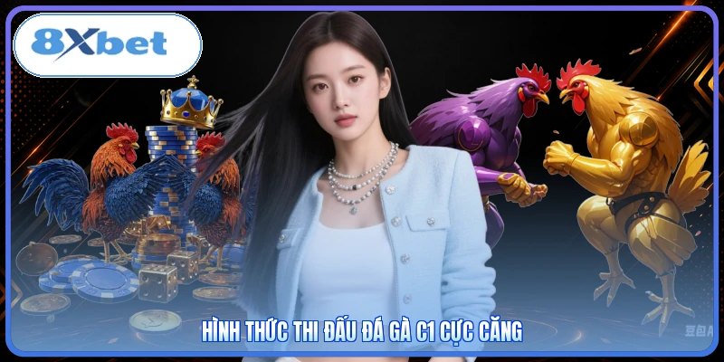 Hình thức thi đấu đá gà C1 cực căng