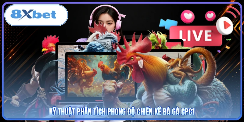 Kỹ thuật phân tích phong độ chiến kê đá gà CPC1