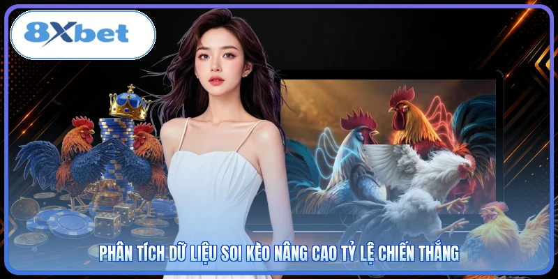 Phân tích dữ liệu soi kèo nâng cao tỷ lệ chiến thắng
