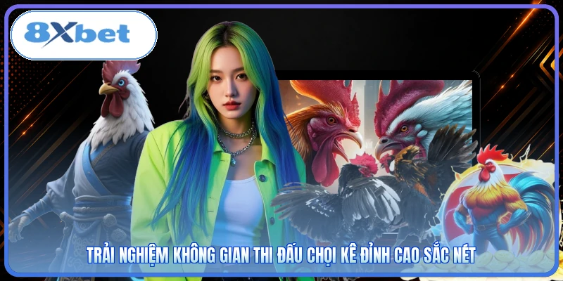 Trải nghiệm không gian thi đấu chọi kê đỉnh cao sắc nét